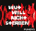 Thumbnail for version as of 05:23, 12 January 2025