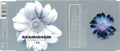 Thumbnail for version as of 05:00, 12 January 2025