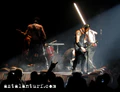 Thumbnail for version as of 05:04, 12 January 2025
