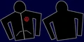 Thumbnail for version as of 04:54, 12 January 2025